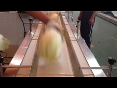 Горизонтальная машина пакета подачи