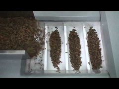 Машина упаковки изюминки цены по прейскуранту завода-изготовителя, чокнутая пакуя машина, высушила машину красных дат пакуя