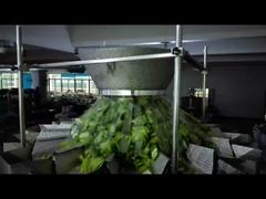 Узнайте, почему стоит выбрать упаковочную машину для тыквенных семечек в готовые пакеты с зип-локом, машину для взвешивания и упаковки