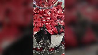 Автоматическая ротационная машина для упаковки в готовые пакеты Bag-in-Bag